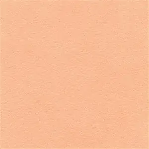Pink Salmon 1546