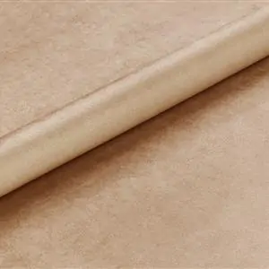 Biscuit 901