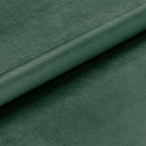 Lichen 604