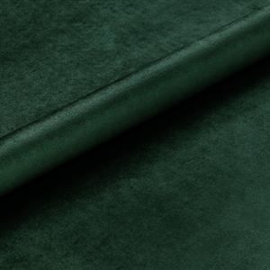 Forest 502