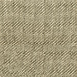 Taupe 01