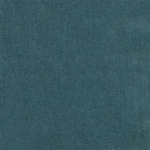 Peacock 13
