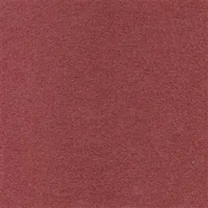 Sorbet 973
