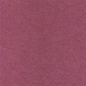 Crocus 601