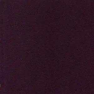 Eggplant 926
