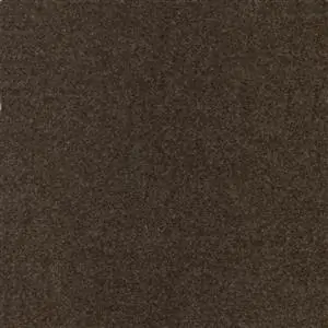 Chinchila 552