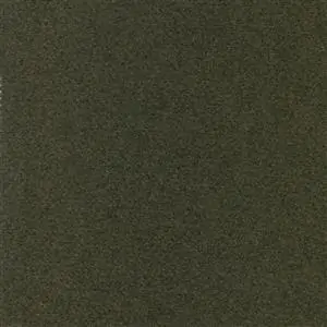 Olive 022