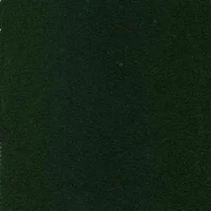 Palm 077