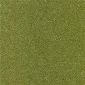 Lime 089