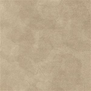 Eggshell Beige 1001