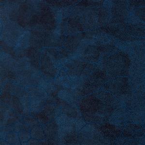 Ice Blue Print 1042