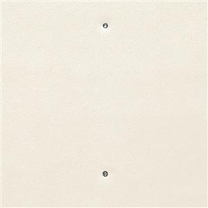 Eggshell Y001