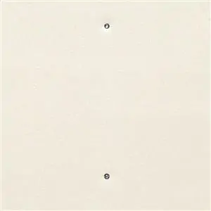 Eggshell Y001