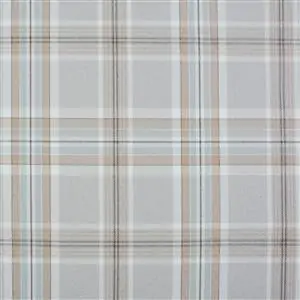 Gull Grey 01