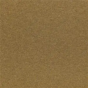 Camel 86