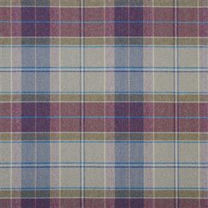 Plum 08