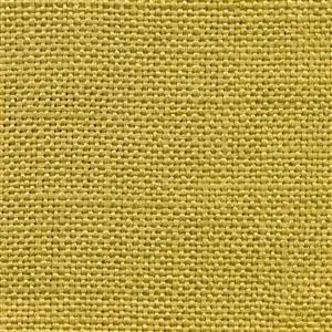 Bamboo 25