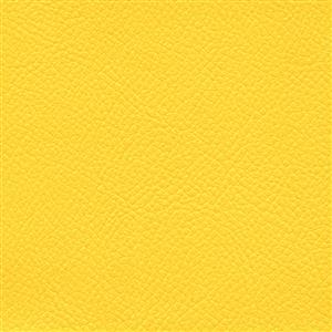 Forsythia 606