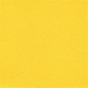 Forsythia 606
