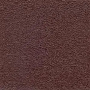 Aubergine 927