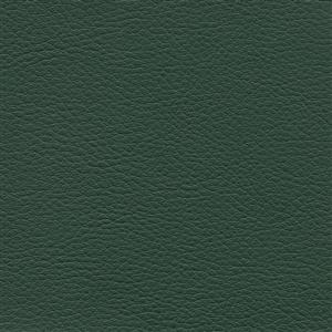 Forest 611