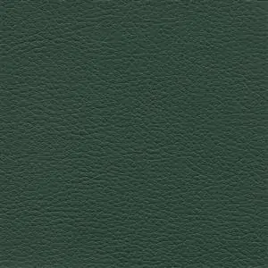 Forest 611