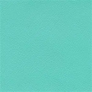 Turquoize 612