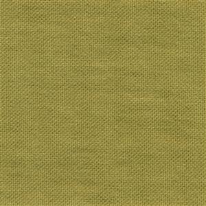 Bamboo 45