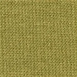 Bamboo 45