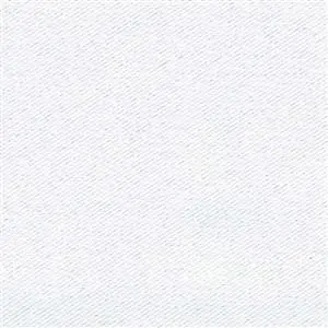Arctic 00