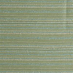 Cactus-071