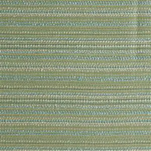 ANNUAL CACTUS-071***