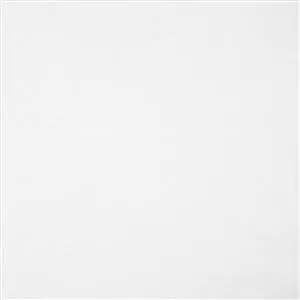 ANTARCTICA SNOW 013***