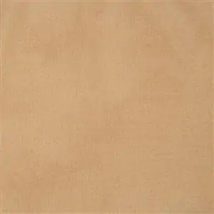 ARCHIPELAGO BISCUIT 005***