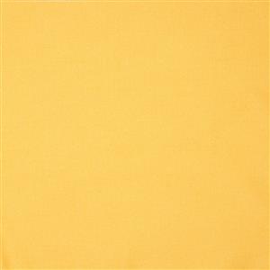 Lemon 059