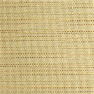 DOMESTIC MIMOSA-093***