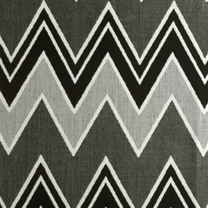 Zebra-027