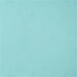 OUTDOORS SURF 044***