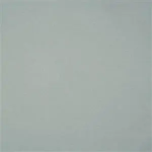 OUTDOORS MIST 027***