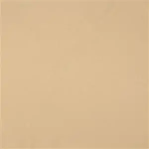 OUTDOORS BEIGE 006***