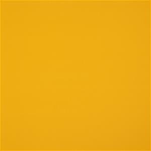 Sunflower 060