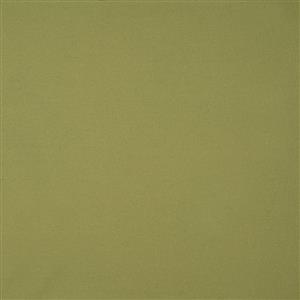 Moss 054