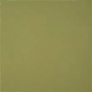 OUTDOORS MOSS 054***