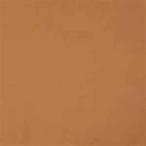 OUTDOORS CHIPMUNK 003***