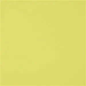 OUTDOORS CHARTREUSE 070***