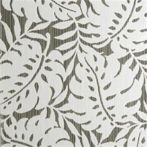 Liquorice 037