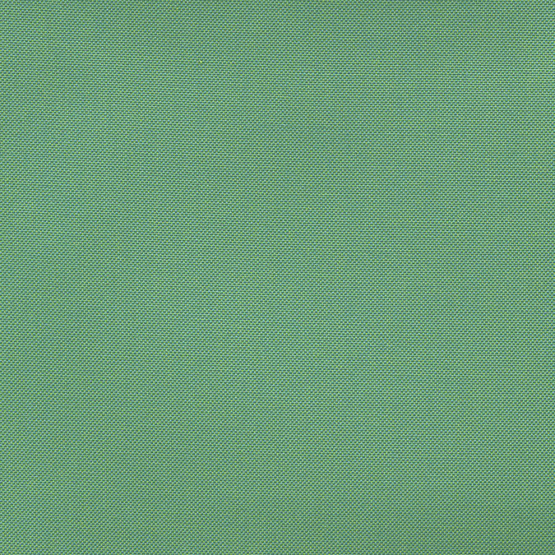 ACCELERATE TROPICAL - 066***