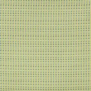 FAST LEMONADE 100***