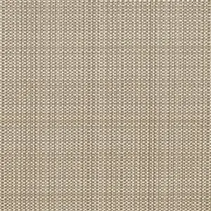 JUMPING SHALE 035***