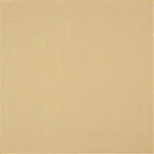 VELOCITY SUNSHINE 103***